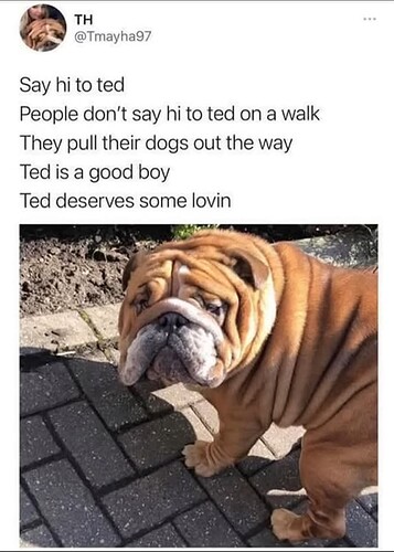 Ted