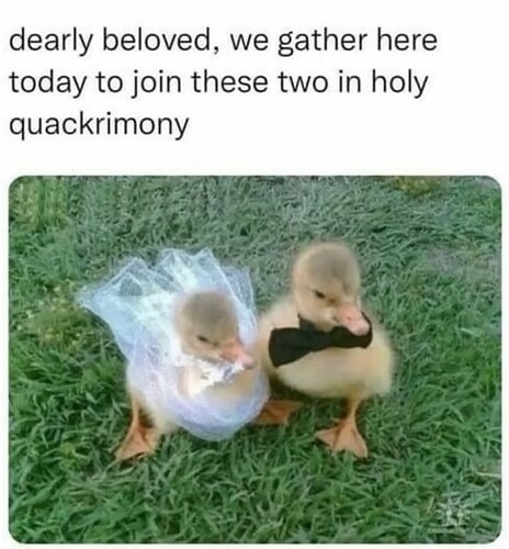 Quackrimony
