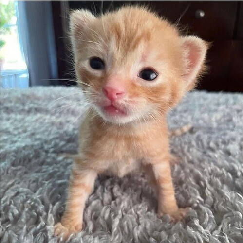 main-qimg-8bfa9ddd663d700457f6e653c3308b4d