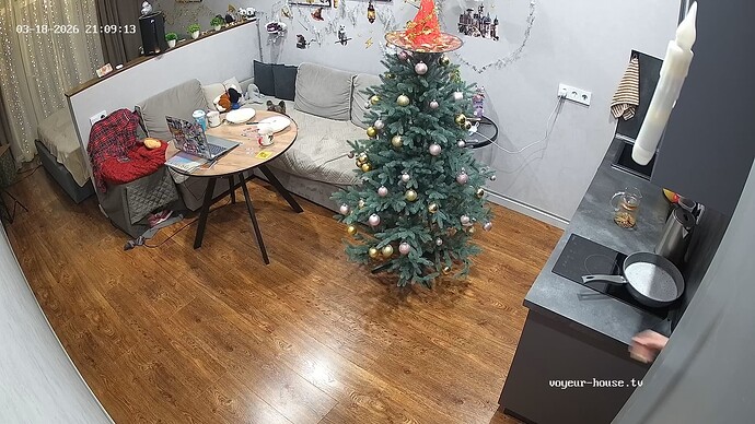 realm81-cam14-1773857391