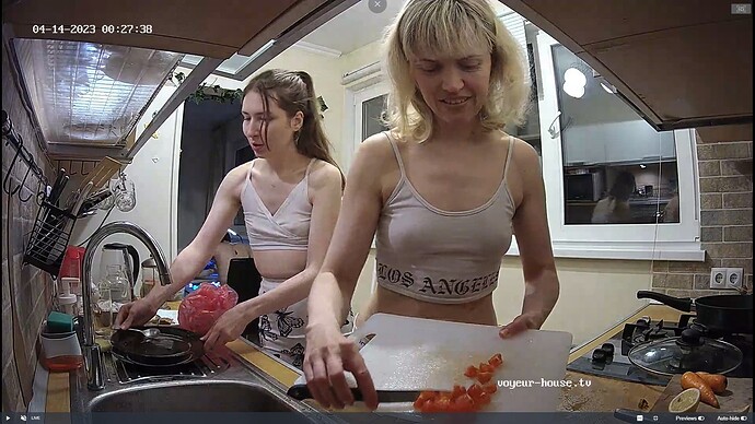 Ashampoo_Snap_jeudi 13 avril 2023_23h28m18s_022_Hut TV apartment with reallifecam cameras at Voyeur House TV - Google Chrome