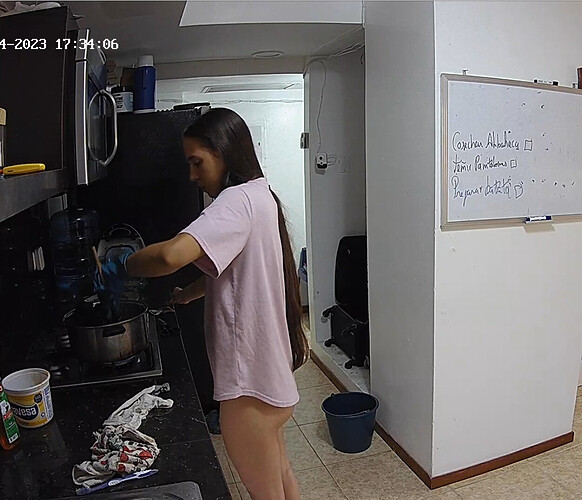 Screenshot 2023-08-14 at 16-36-15 Kitchen camera at Libra & Papi reallifecam apartment at Voyeur House TV (cam11)