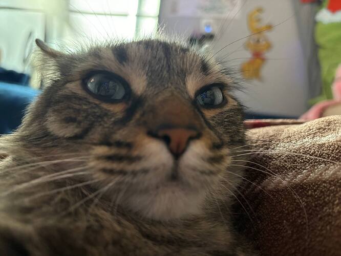 photo_2026-01-25_08-35-47