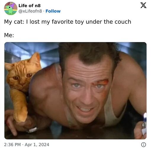 Favourite Toy