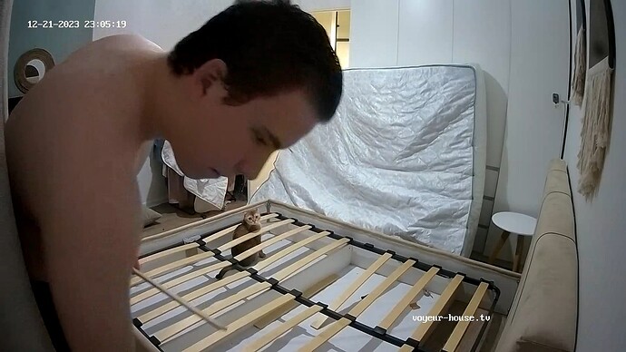 realm33-cam17-1703189157