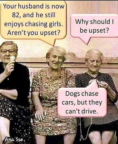 434123435_866920688778981_7150009181728324363_n