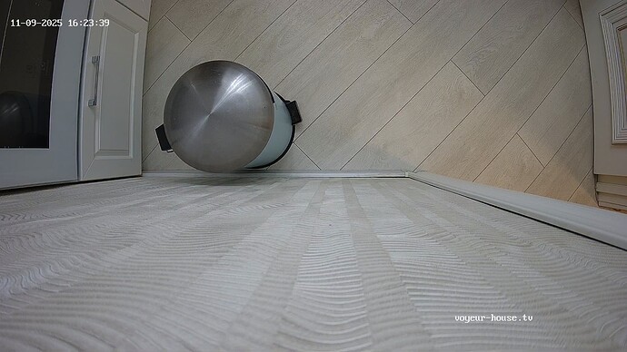 realm122-cam12-1762694664