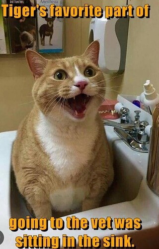 main-qimg-e25a378df44a0087a1372b62d67c0442