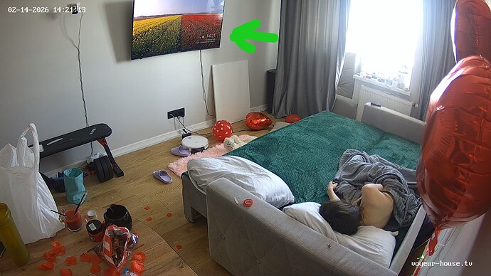 XanerGrossy-20260214-01-proof