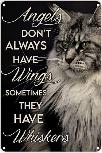 main-qimg-c1a01c6700db0a6b7abc67813b5b00f6