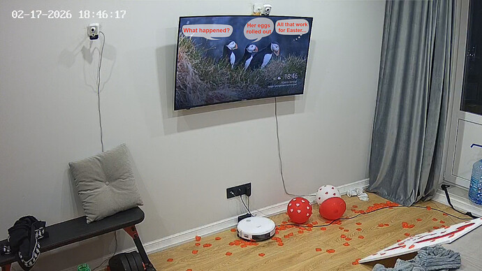 XanerGrossy-20260217-01