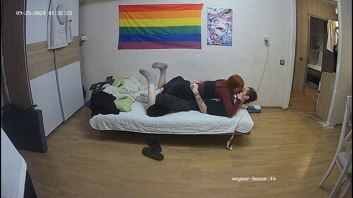 Ashampoo_Snap_mardi 24 septembre 2024_20h32m59s_002_Living room camera at Tristan reallifecam apartment at Voyeur House TV (cam14) - Google Chrome