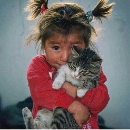 main-qimg-85b810c67efe52db85637bf9efa6ca65