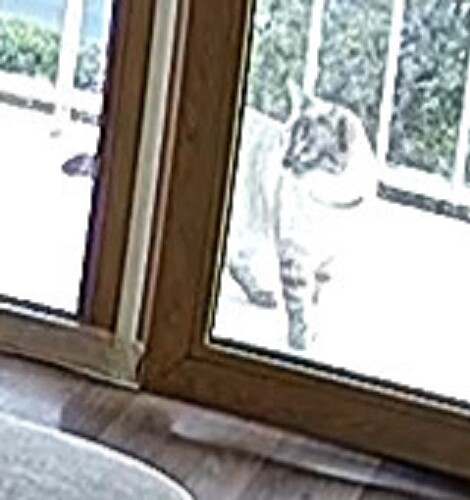 Ilet me in now closer