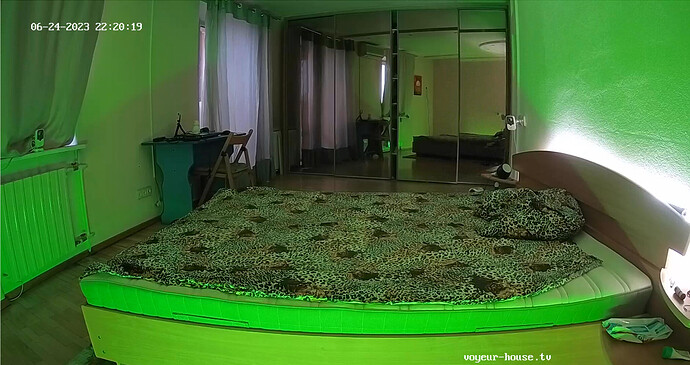 Screenshot 2023-06-24 at 12-20-55 Guest bedroom camera at Sophia Elon Claudia reallifecam apartment at Voyeur House TV (cam110)