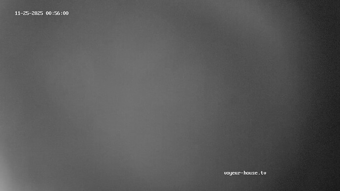 realm115-cam15-1764021403