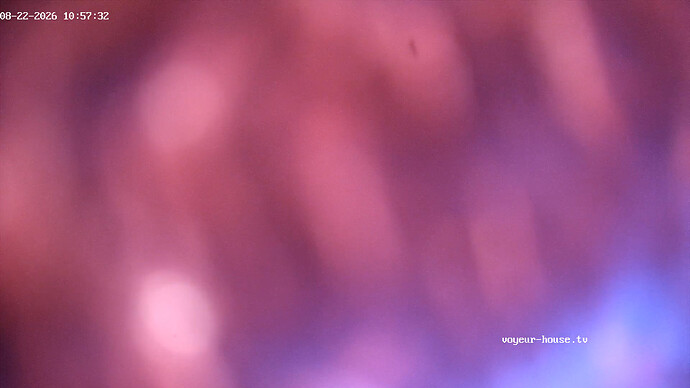 realm108-cam19-1787385493