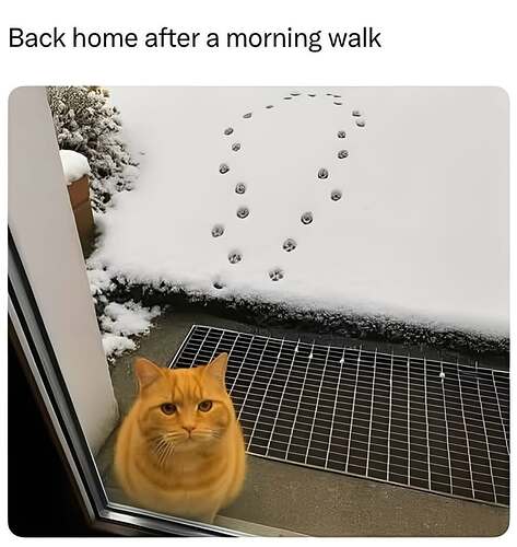 SaveInsta.to_552720947_17995915697829428_4284095656950834608_n