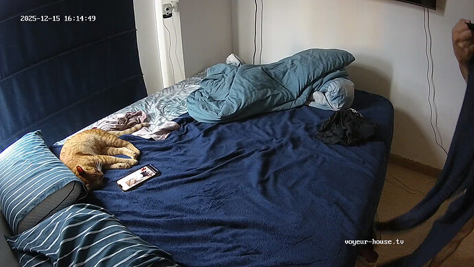 realm44-cam14-1765833328