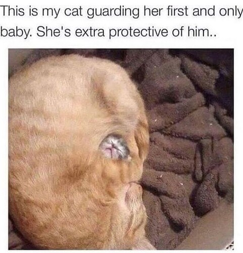 main-qimg-0ae2519fdb20575971f4a8ae569ac20b