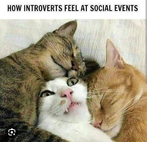 main-qimg-a2016b42033eb721f02e9163b8ae150f