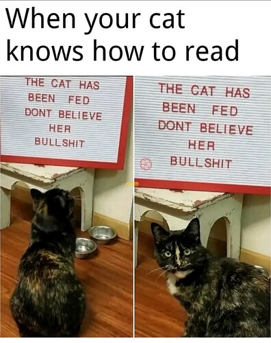 main-qimg-cac280b358c85b06e9f8de87ef7acc8d