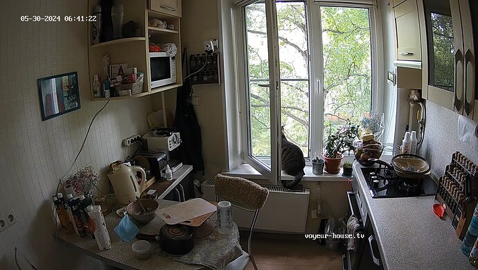 realm7-cam11-1717040518