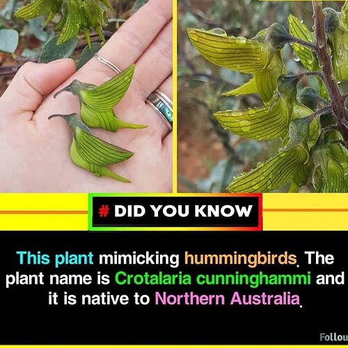 438717110_346838775072391_6097414512520750624_n