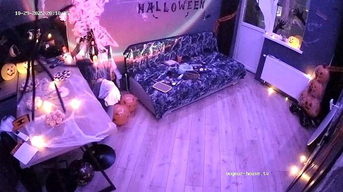 AoraPaladin-20251029-02