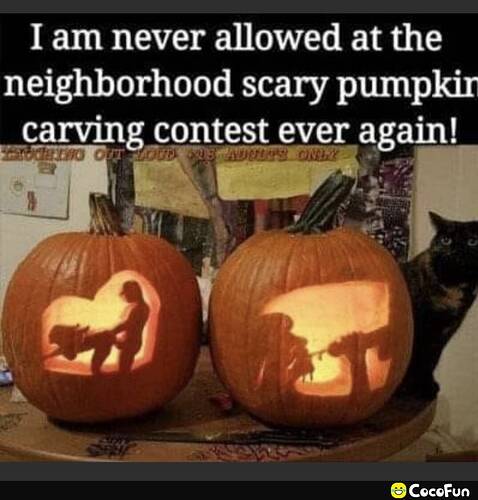 maga_c504b3c1e28e283b769e4bed44b9371b