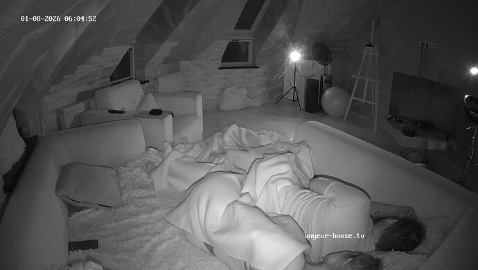 realm8-cam16-1767845132