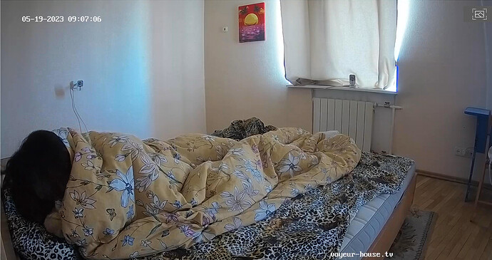 Screenshot 2023-05-19 at 00-12-13 Living room camera at Playboy House reallifecam apartment at Voyeur House TV (cam13)