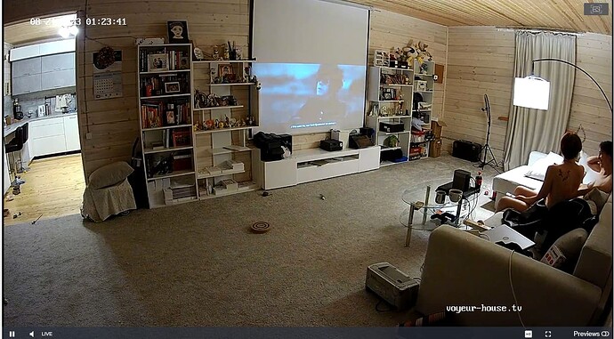 Screenshot_2023_08_21-35