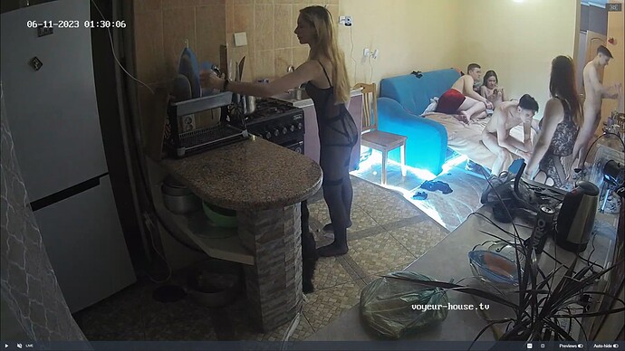 Ashampoo_Snap_samedi 10 juin 2023_20h30m40s_010_Living room camera at Jakar & Lilka reallifecam apartment at Voyeur House TV (cam14) - Google Chrome