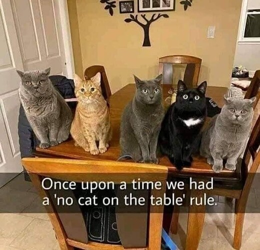 main-qimg-1d49cb29d283371c0c3d242df6f55bfc