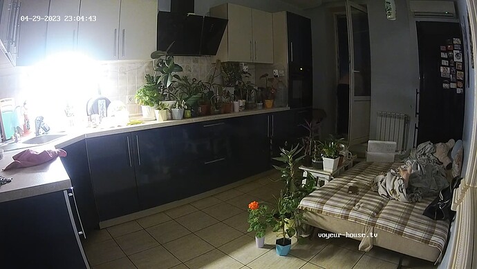 realm60-cam14-1682798724