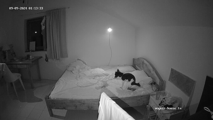 realm9-cam116-1725872794