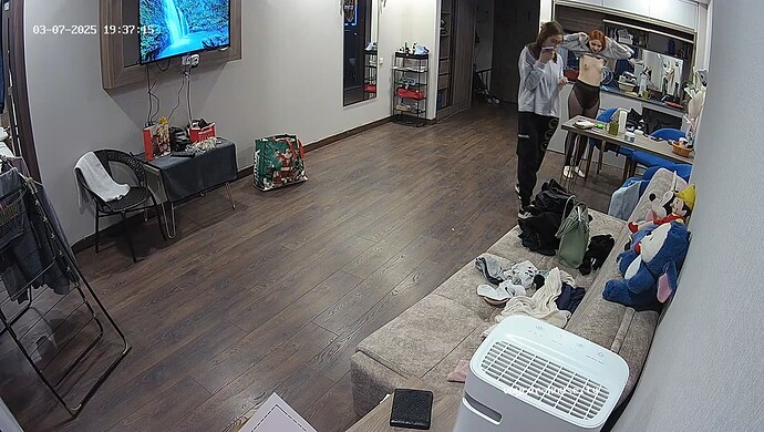 realm65-cam13-1741361963