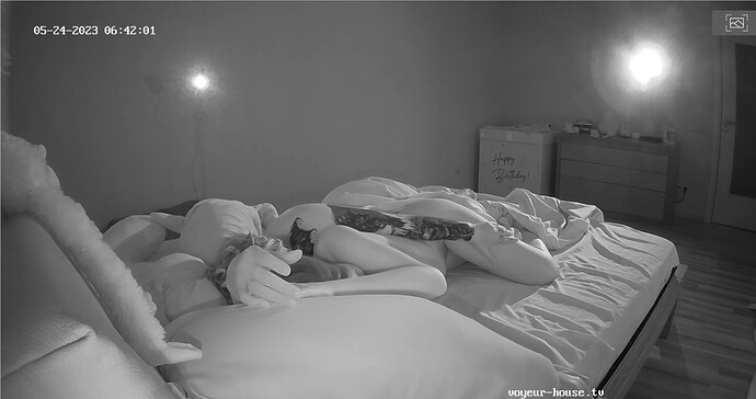 Screenshot 2023-05-23 at 21-25-44 Bedroom camera at Winter reallifecam apartment at Voyeur House TV (cam19)