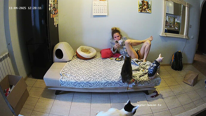 realm60-cam13-1762248532