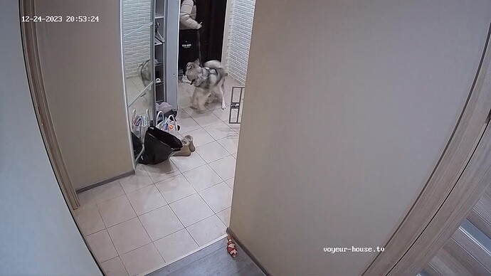 realm62-cam111-1703443488