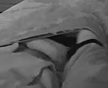 Trump cock_edit