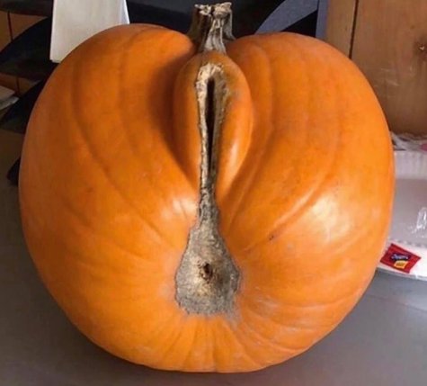 FodjgiRXEBAXwAf