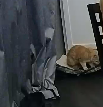 bandicam 2022-07-18 23-36-49-238