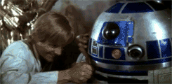 giphy-17