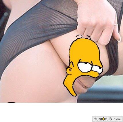 Homer