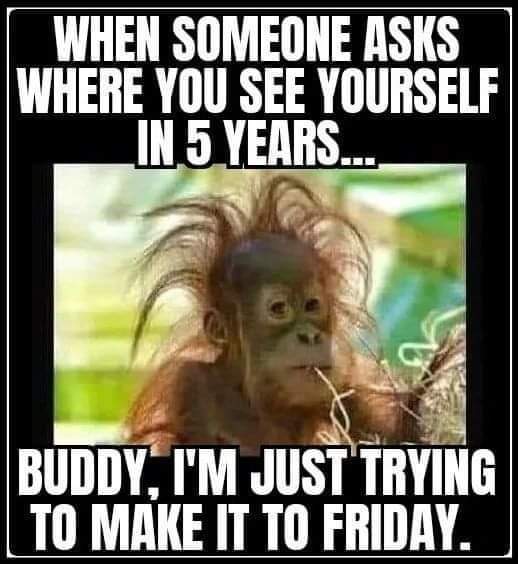 FB_IMG_1678109975273
