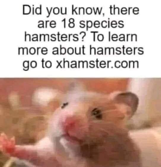 FgimguoXgAAHXYg