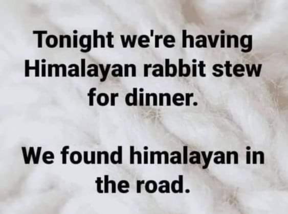 FB_IMG_1676801429880