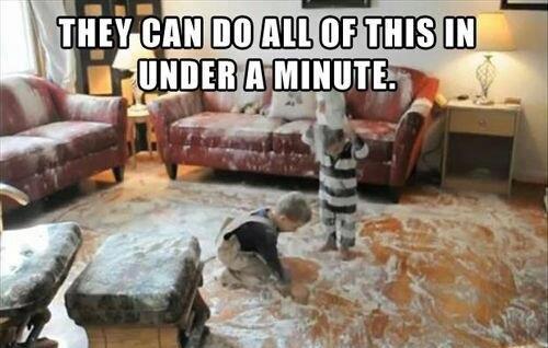 526911_453017981443884_290139664_n